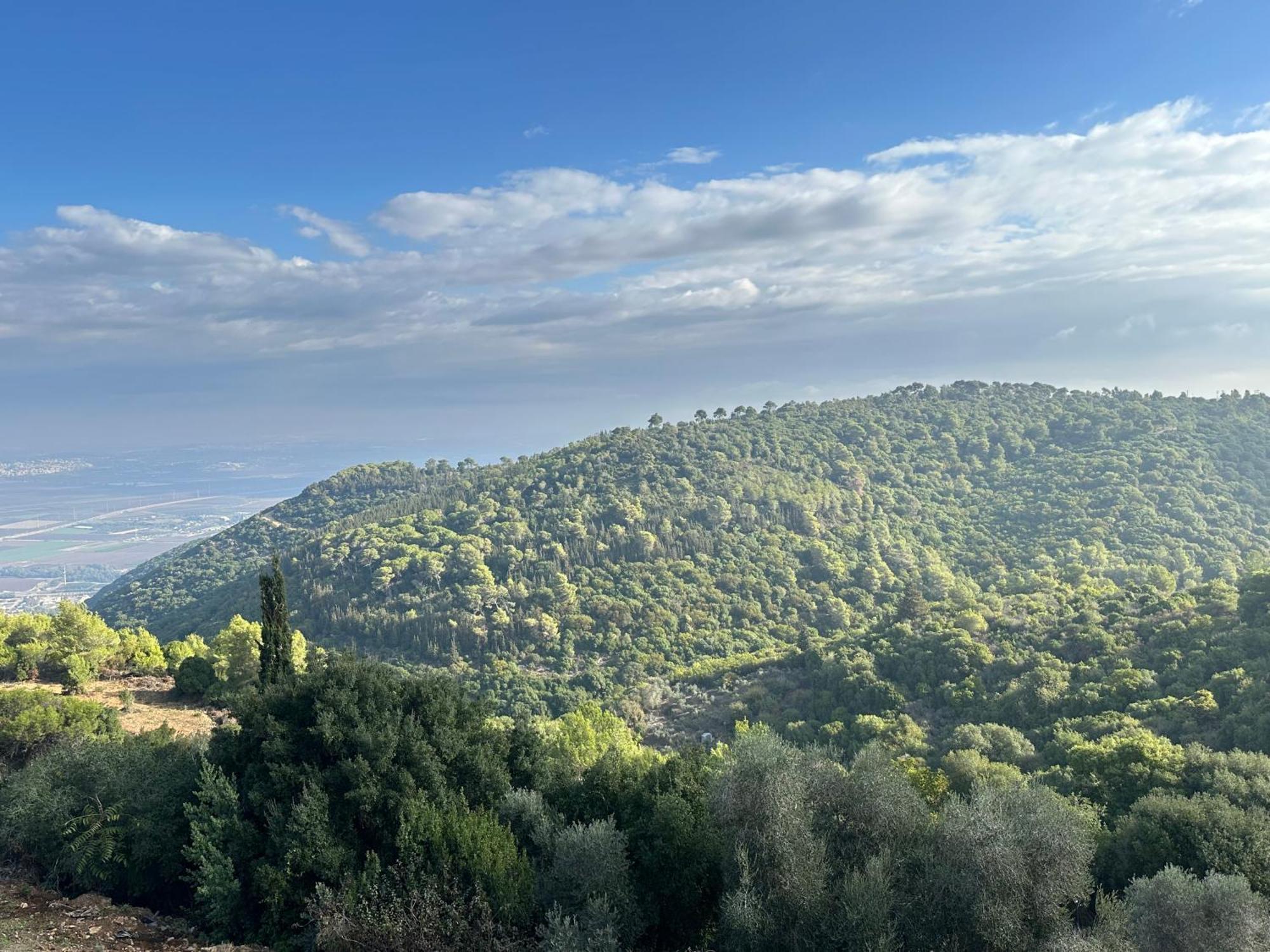 Panoramic View Hotel Isfiya Exterior foto